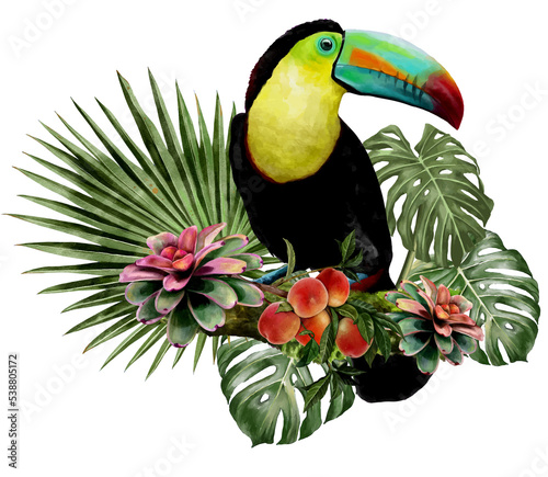 Obraz na płótnie illustration watercolor of toucan bird and leaves w salonie