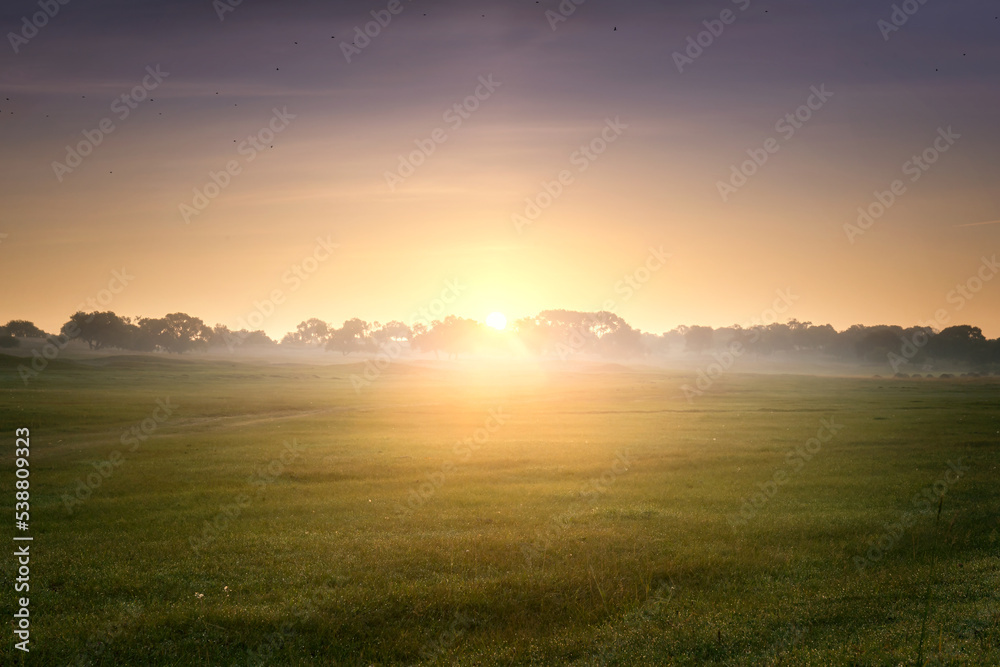 autumn grassland beautiful scenery in Inner Mongolia China autumn grassland beautiful scenery in Inner Mongolia China