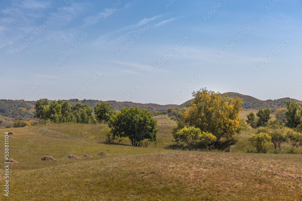 Fototapeta premium autumn grassland beautiful scenery in Inner Mongolia China