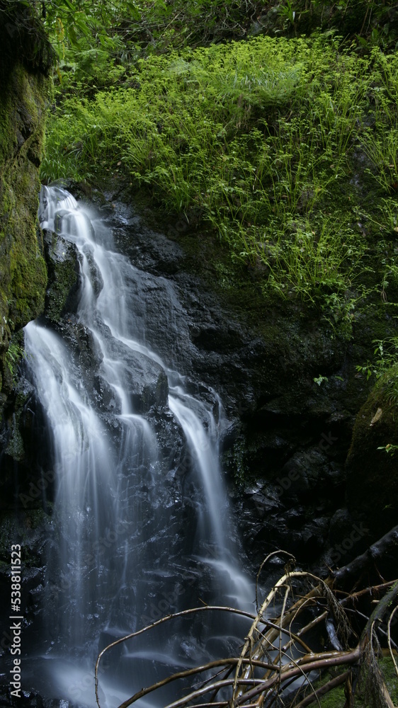 waterfall in the forest waterfall in the forest