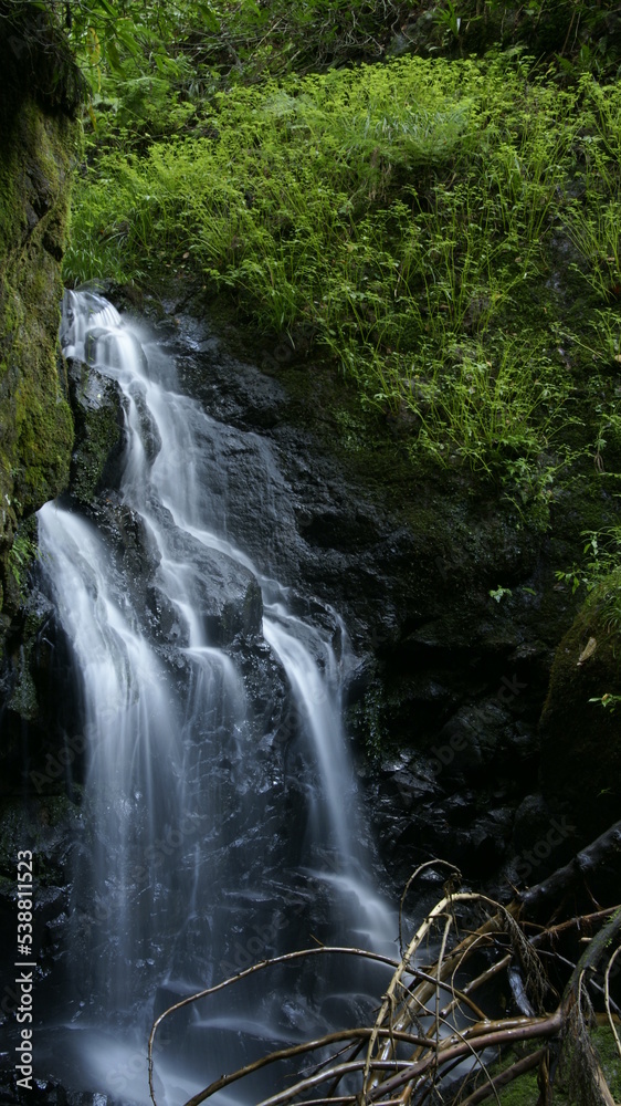 waterfall in the forest