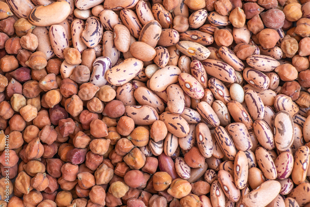Raw chickpeas (black chana) and red kidney (rajma) legumes Raw chickpeas (black chana) and red kidney (rajma) legumes