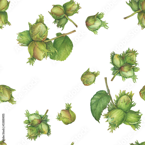Seamless pattern with green hazelnut fruits with spiny husks and leaves (Corylus avellana, common hazel, cobnuts, forest filbert). Watercolor hand drawn painting illustration, isolated on white