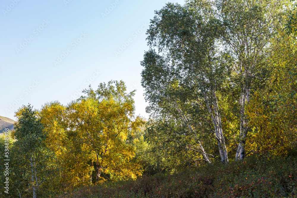 autumn grassland beautiful scenery in Inner Mongolia China autumn grassland beautiful scenery in Inner Mongolia China