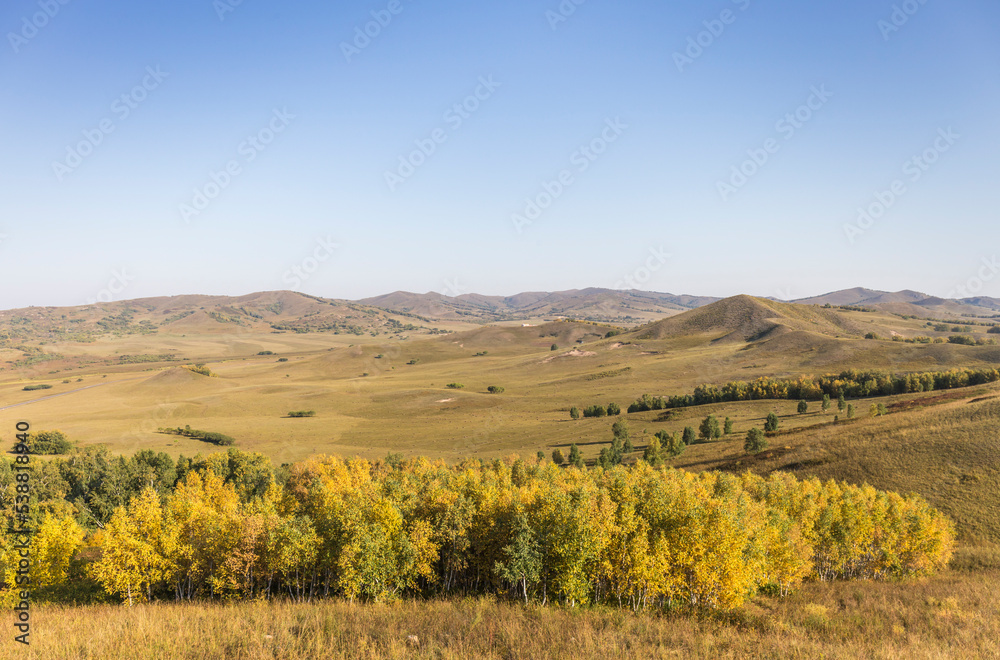 Fototapeta premium autumn grassland beautiful scenery in Inner Mongolia China