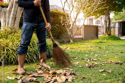 Gardener sweeps dried  leaf on the grass field in the garden.. cleaning concept