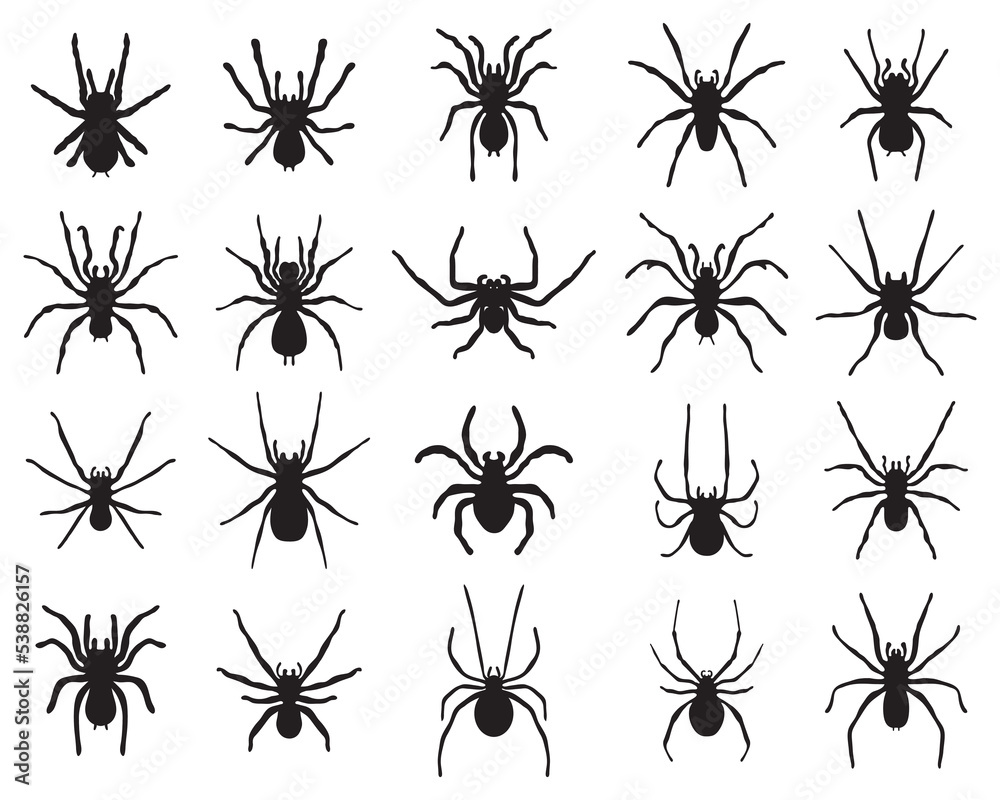 Black silhouettes of different spiders  on a white background	