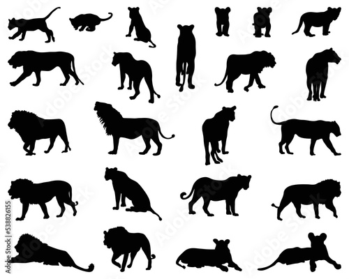 Black silhouettes of lions on a white background	