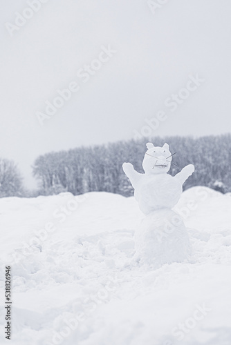 The figure of funny snowman animal with a mustache of twigs in snowy field during winter snowfall. Snow sculpture of happy clumsy cat or bear, winter outdoor activities background with copy space. © Aleksandra Konoplya