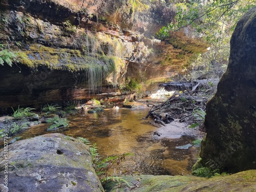 Greaves Creek on the Grand Canyon Track in the Blue Mountains of New South Wales Australia
