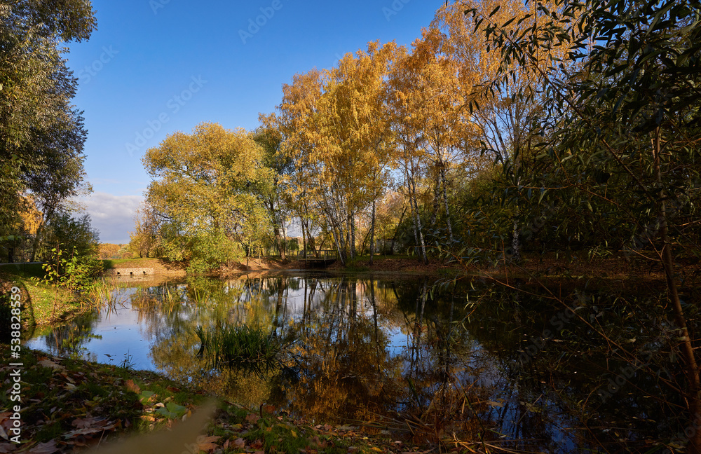 Pond surrounded by yellow trees in afternoon.