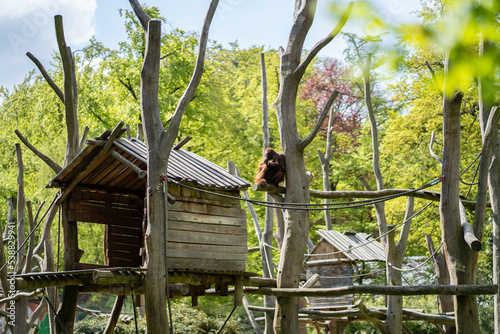 Zoo Dortmund