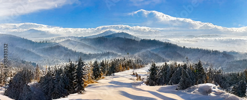 Fototapeta Naklejka Na Ścianę i Meble -  majestic carpathian mountains in winter, wonderful view