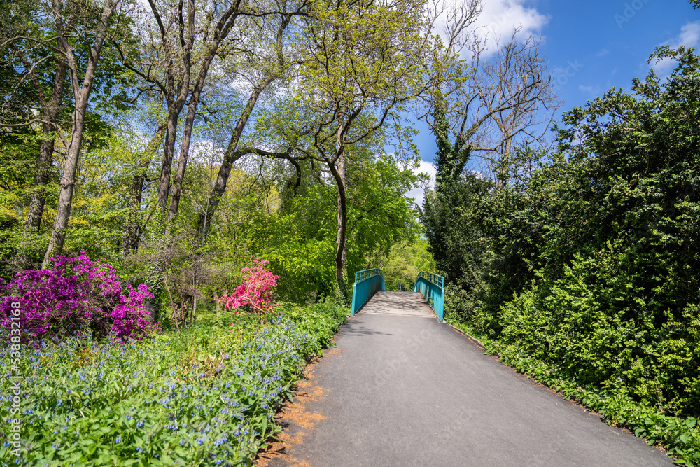 Obraz premium Park