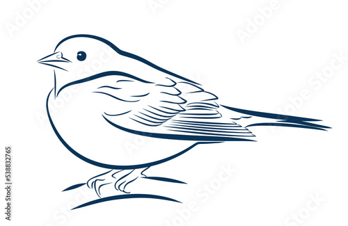 A sketch of a small forest bird.