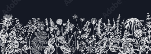Vector herbs and meadows background on chalkboard. Aromatic plants vintage banner. Medicinal herb sketches. Botanical design for cosmetics, perfumery, herbal tea and herbal medicine. Floral backdrop