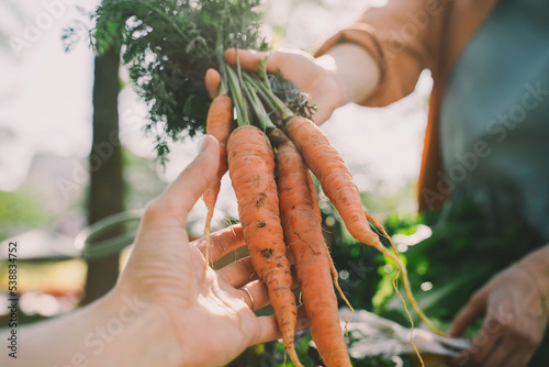 Woman buying fresh carrots from vendor at local market photo