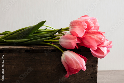 Pink blooming Don Quichotte tulips lying on top of wooden box photo