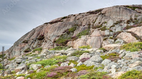 Photography cote suédoise près de Fjällbacka et de Tanum