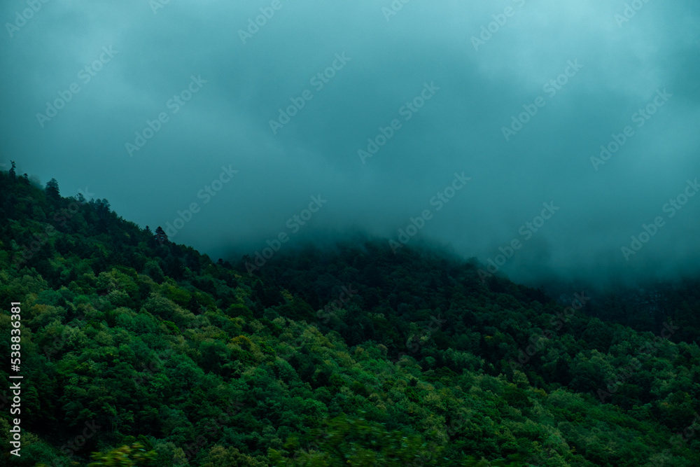 fog in the forest in a mountainous region near Grenoble