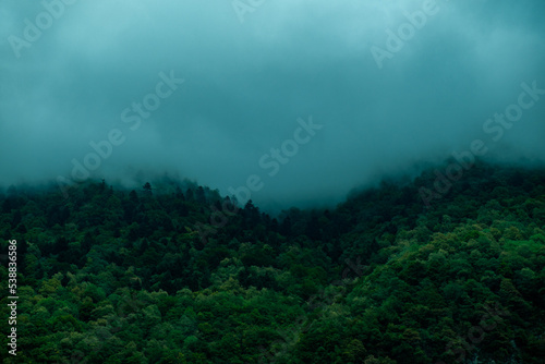 fog in the forest in a mountainous region near Grenoble