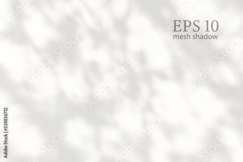 Transparent natural plant shadow. Light effect overlay. Mesh grid. Shadows from branches, plant, foliage and leaves on ground. Presentation your design card, poster Photo realistic vector