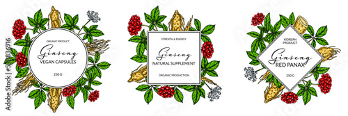 Set of ginseng colorful frames. Hand drawn botanical vector illustration in sketch style. Design for logo, packaging, label, badge. Herbal medicine background photo