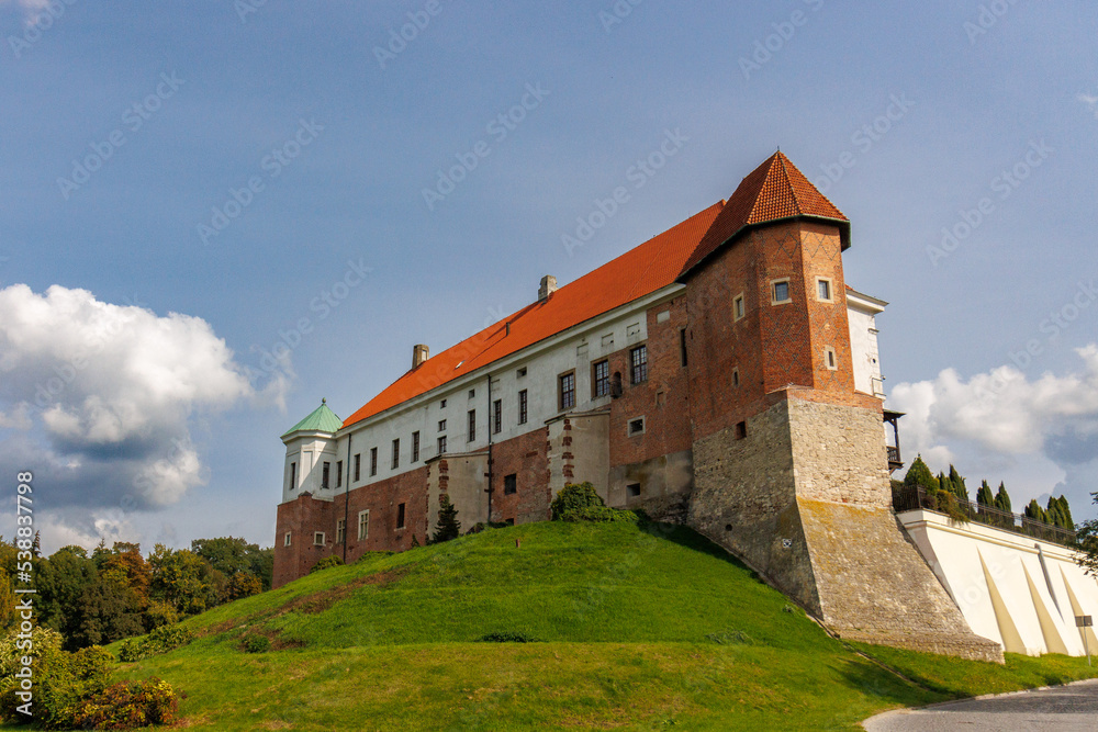 Zamek w Sandomierzu - obrazy, fototapety, plakaty 