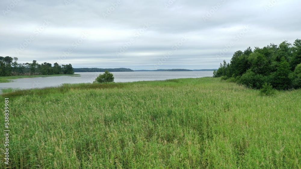 Fototapeta premium sur les bords du lac Mälar (Mälaren) en Suède 