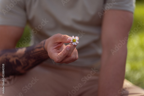 Hand gives a wild flower with love on the blurred background.