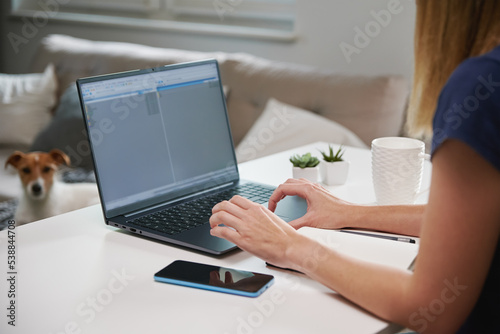 Woman working from home. Female freelancer working remotely at living room and using laptop, typing on keyboard