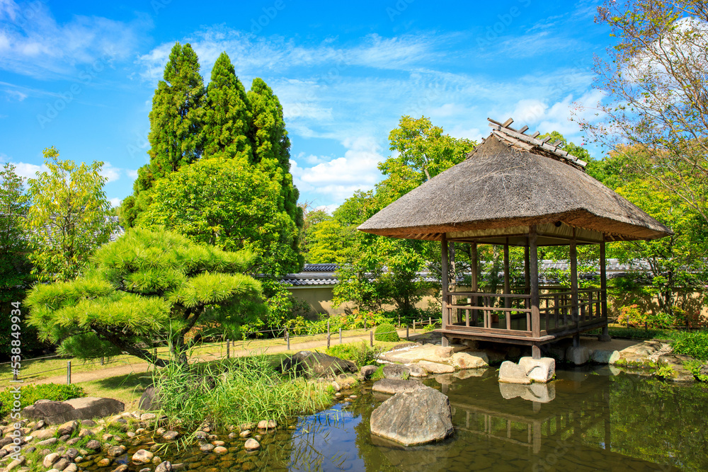 Obraz premium 新緑を映す東屋