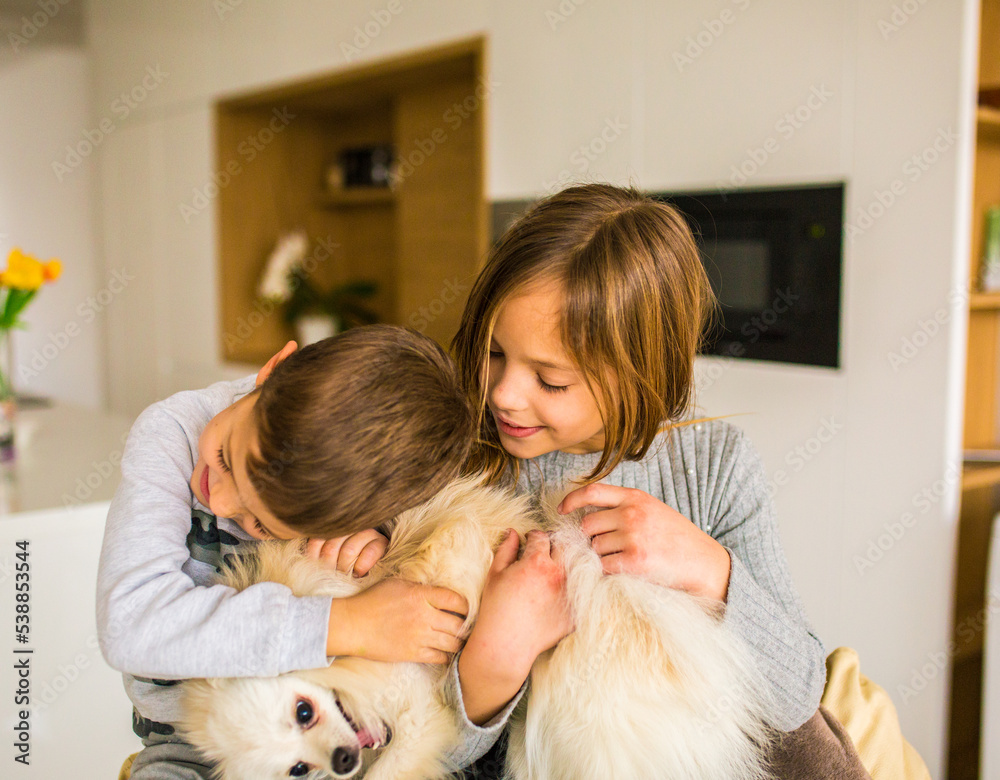 Brother and sister playing with little dog in living room Brother and sister playing with little dog in living room