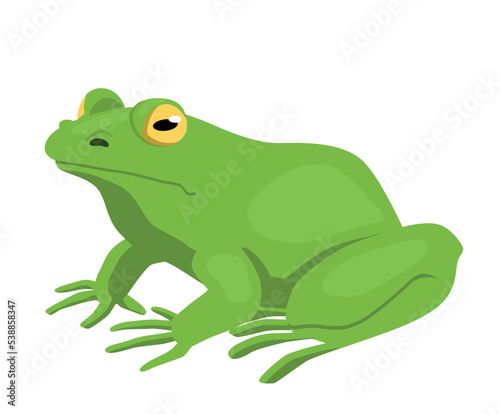 Green frog icon. Sticker for social networks and messengers Swamp lizard with big tongue. Biology and fauna, wild life, forest dweller. Toy or mascot for kids. Cartoon flat vector illustration