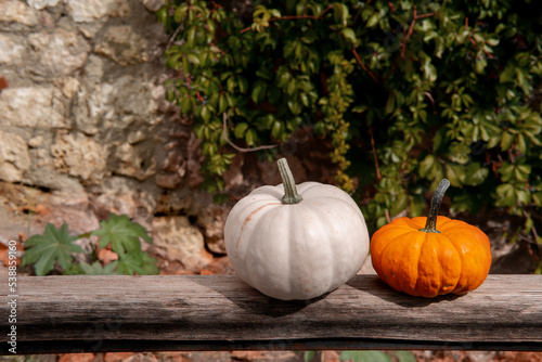 pumpkins on a wooden background in foliage.