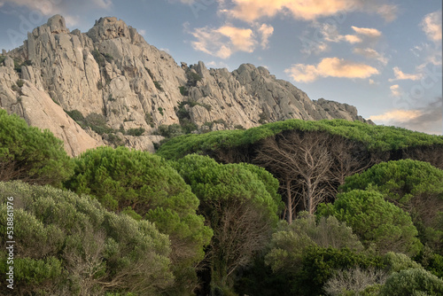 Pine tree forest and rocky mountain in Caprera island, Sardinia, Italy photo