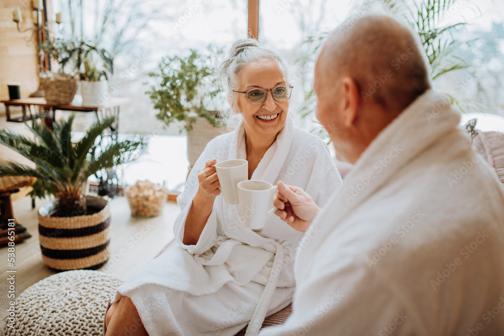 Senior couple in bathrobes enjoying time together in their living room, drinking hot tea, calm and hygge atmosphere. Senior couple in bathrobes enjoying time together in their living room, drinking hot tea, calm and hygge atmosphere.