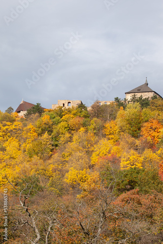 An old castle emerges from the autumnal forest.The roofs of the castle emerge from the forest in yellow orange red green colors, creating patches of color contrasting enormously with the overcast sky.