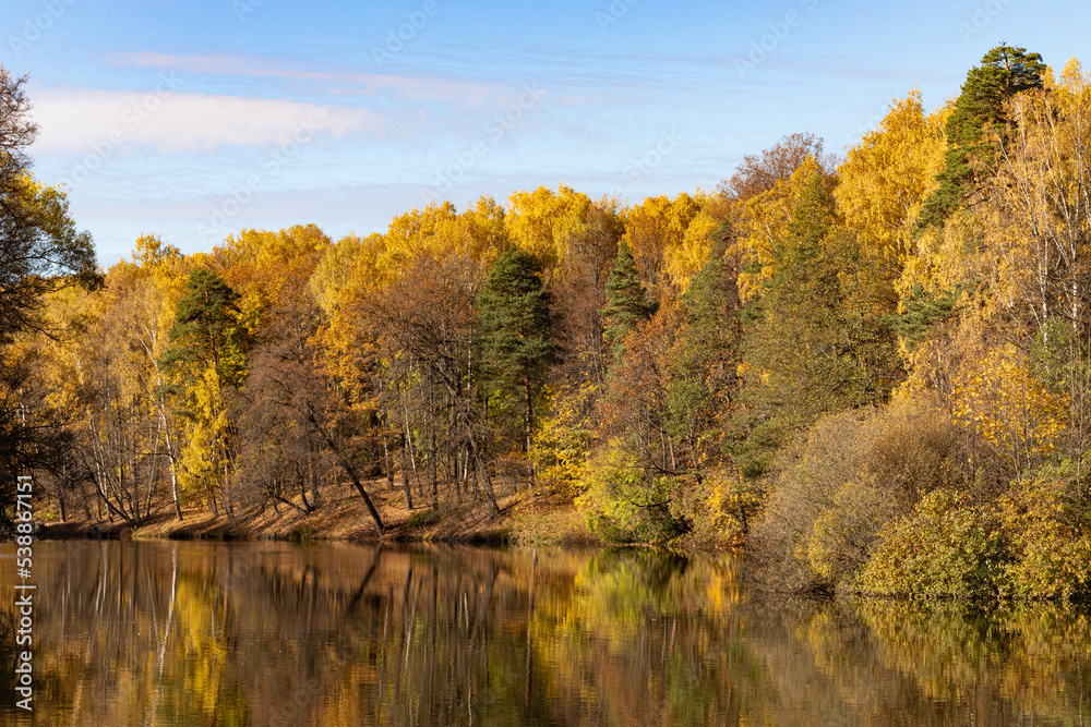 autumn landscape with yellow trees in the park