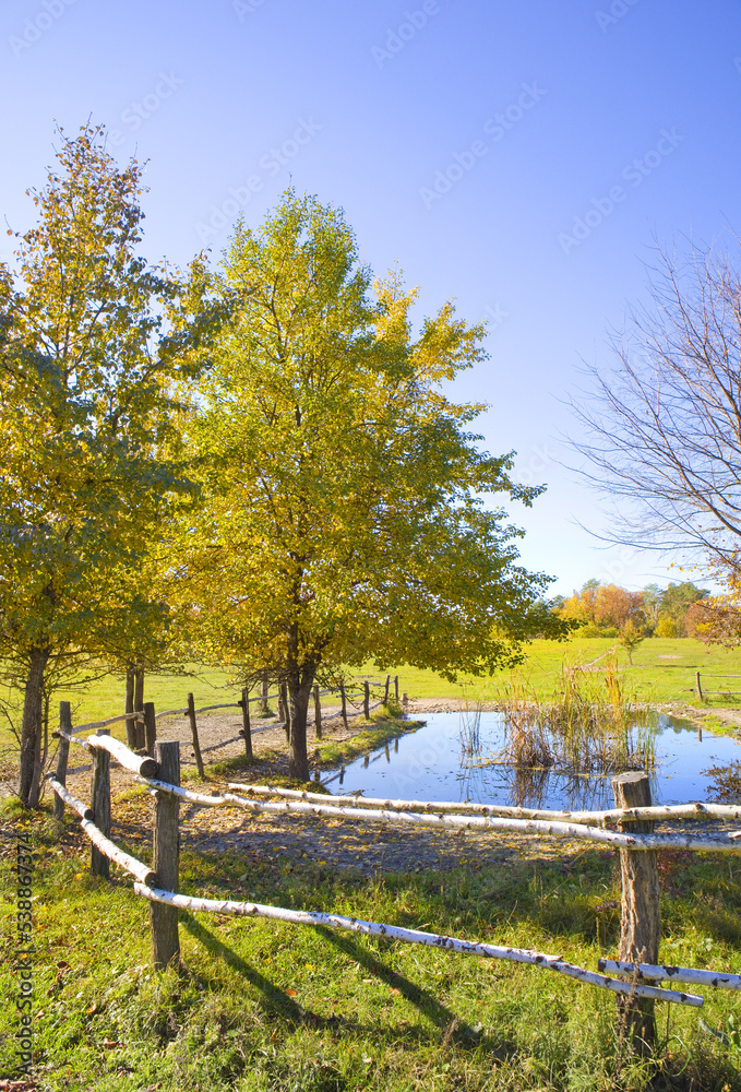 Animal watering place in Nature Park Animal watering place in Nature Park