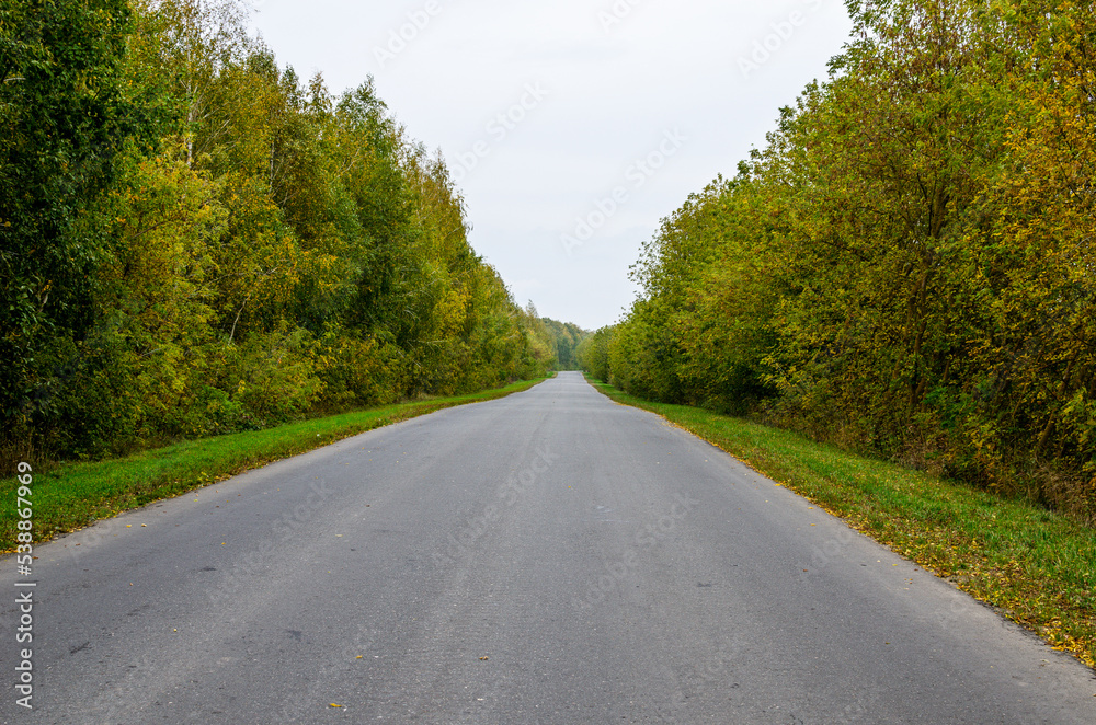 Asphalt road goes into the distance through the autumn forest in russia.