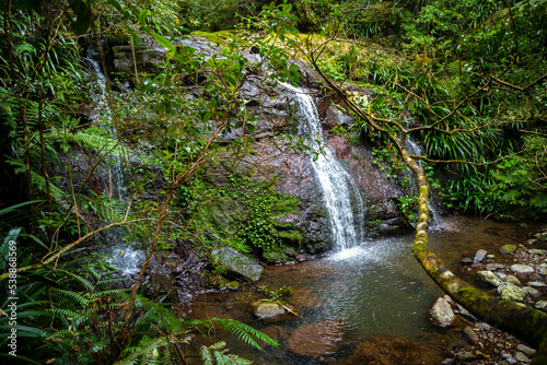 tropical waterfall in the heart of the australian jungle in lamington national park  waterfall in the rainforest near gold coast and brisbane in queensland  australia  hidden gems of australia