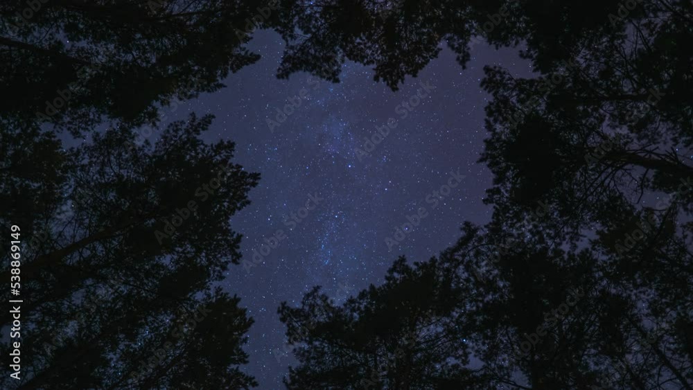 Timelapse of starry sky at night in the forest. Milky way is visible between trees