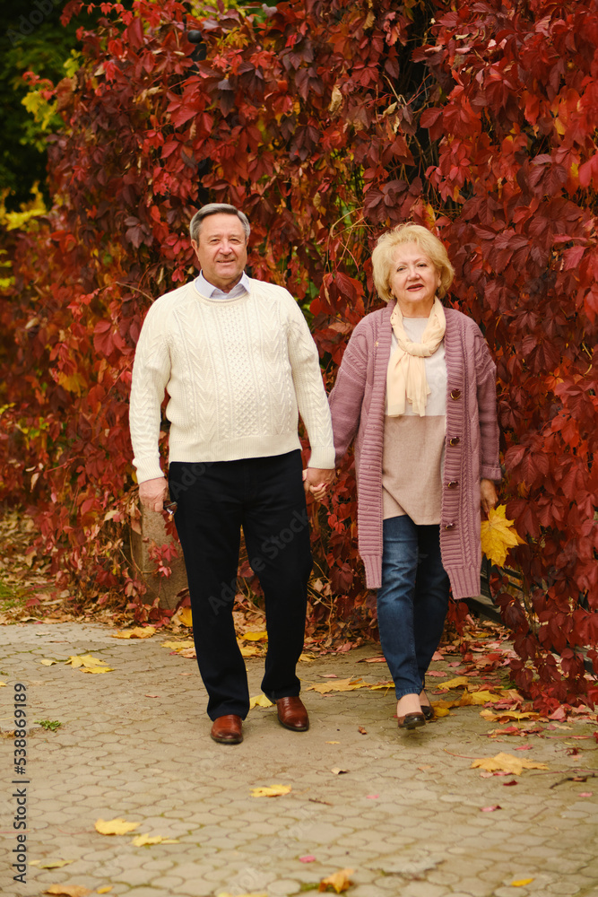 Senior couple in the park on an autumns day Senior couple in the park on an autumns day