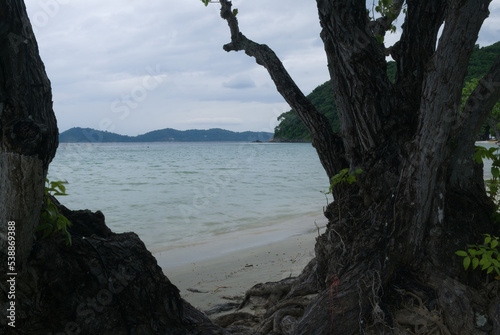beach view on tree frame
