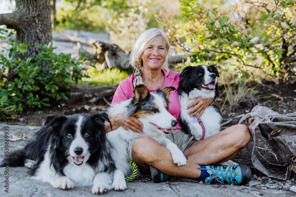 Senior woman having break during walking her three dogs in forest. Senior woman having break during walking her three dogs in forest.