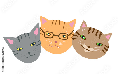 Funny cats muzzles set. Hand drawn cute friends kittens head clip art. Kitty breeds collection. Vector artistic cartoon simple pets.