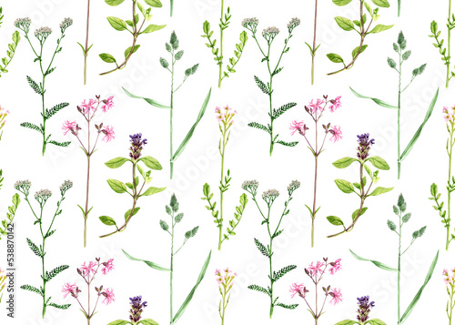 seamless pattern with drawing wild flowers and green leaves at white background   hand drawn botanical illustration