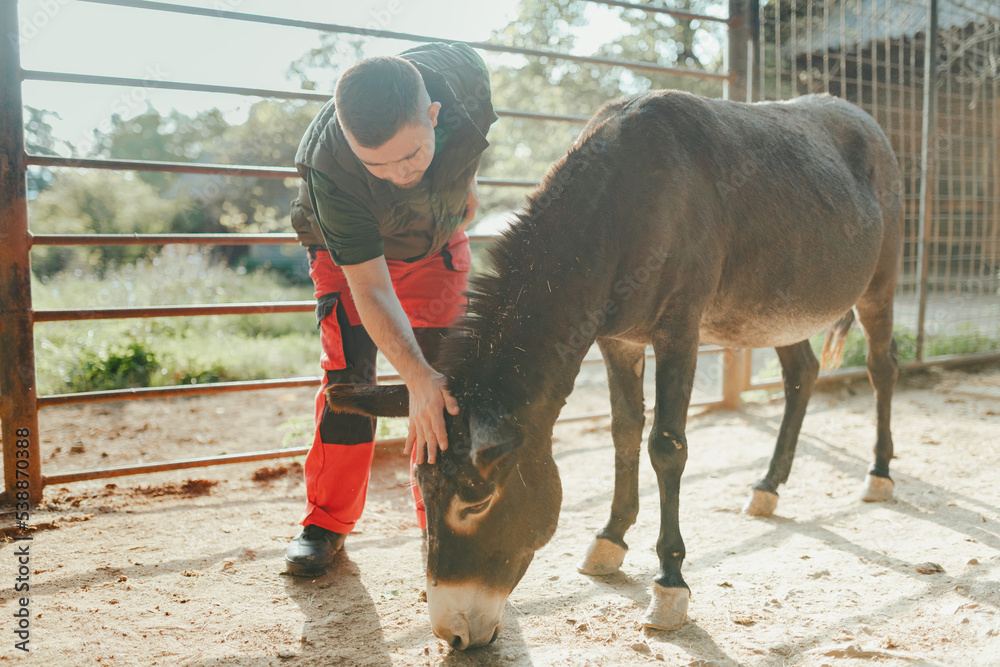 Caretaker with down syndrome taking care of animals in zoo, stroking donkey. Concept of integration people with disabilities into society. Stock Photo | Adobe Stock Caretaker with down syndrome taking care of animals in zoo, stroking donkey. Concept of integration people with disabilities into society. Stock Photo | Adobe Stock