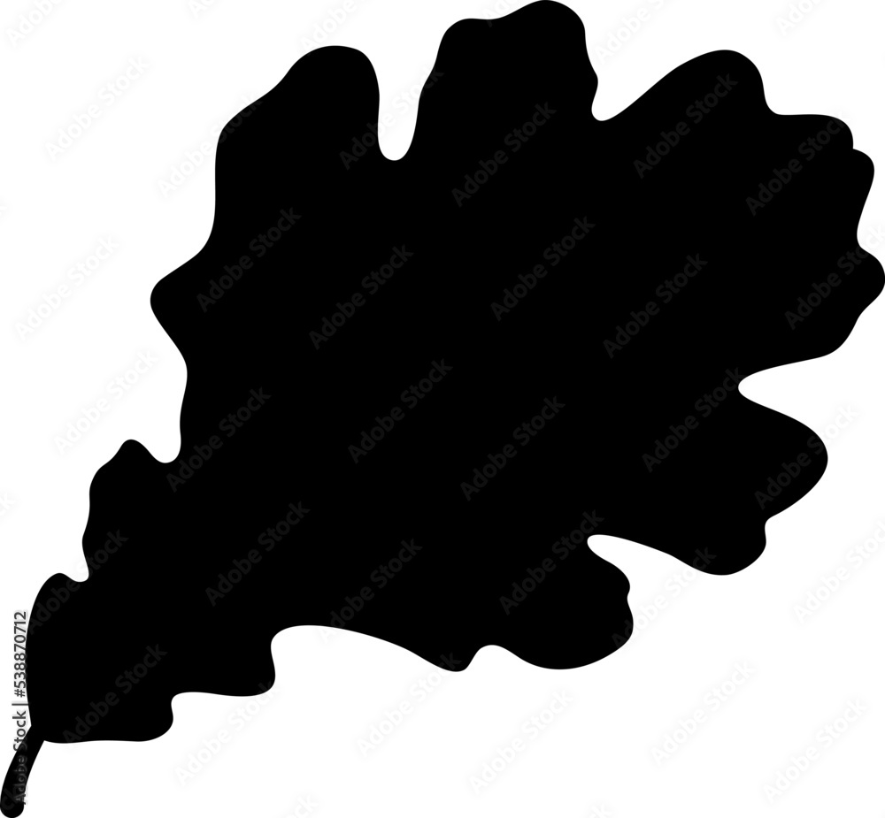 Isolated black silhouette of leaf of oak on white background.